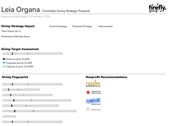 Example of Firefly's detailed giving strategy proposal